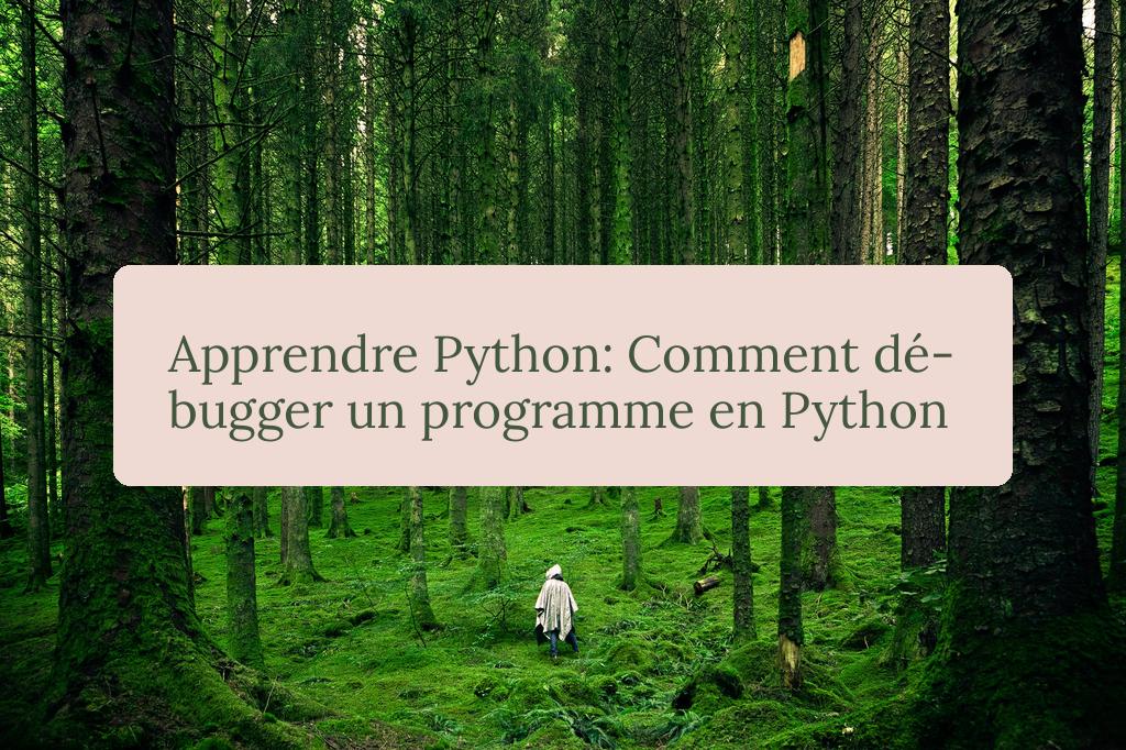 image from Apprendre Python: Comment débugger un programme en Python